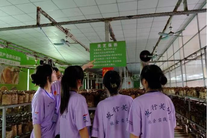 wߪq鏊(qing)֥